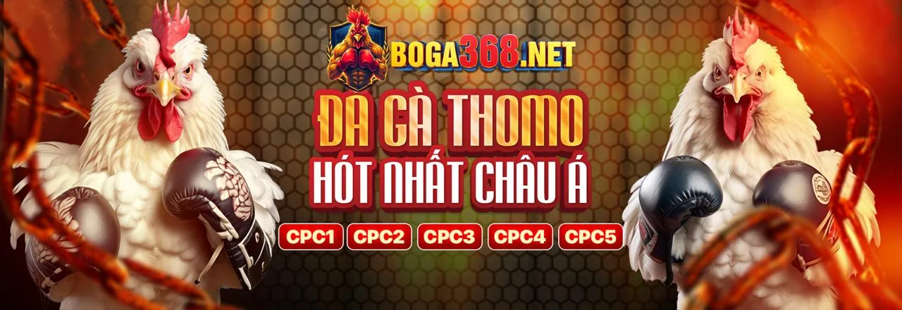 Hình ảnh banner Chính sách quyền riêng tư của code c168